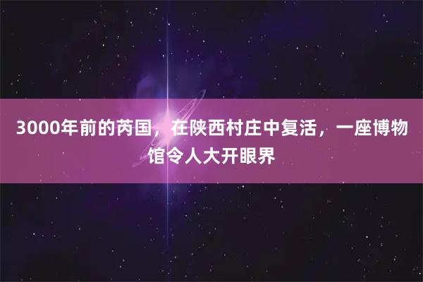 3000年前的芮国，在陕西村庄中复活，一座博物馆令人大开眼界